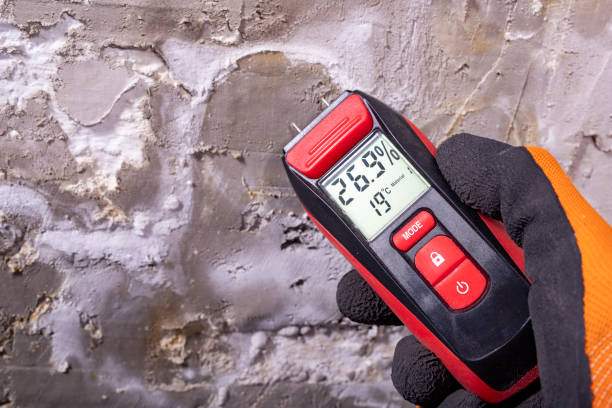 Best Mold Testing  in Yorktown, IN