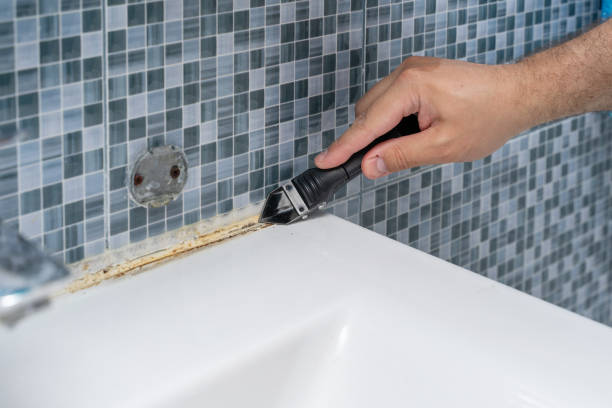 Best Mold Removal Near Me  in Yorktown, IN