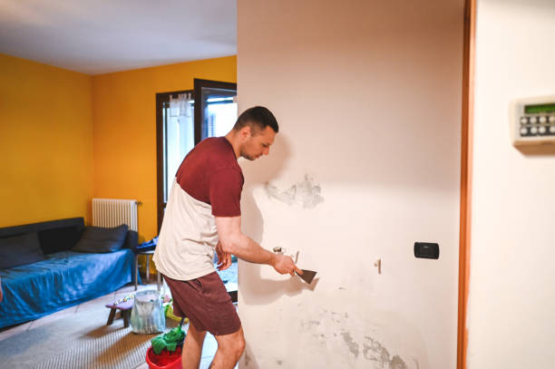 Best Same-Day Mold Removal  in Yorktown, IN